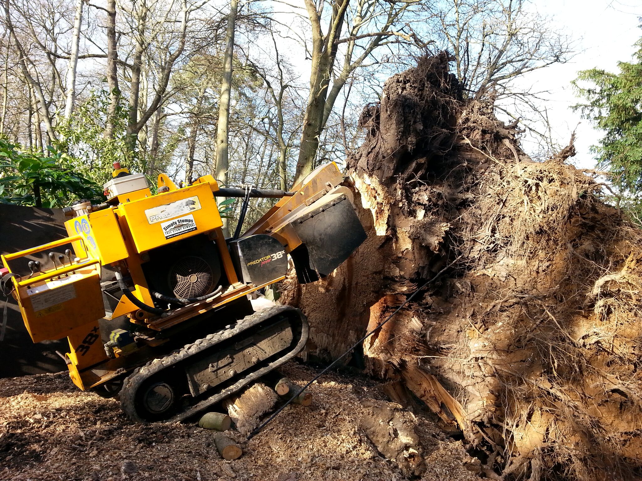 Stump Removal