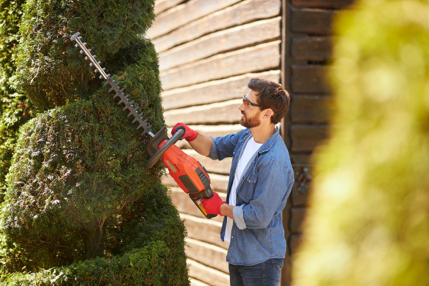 Tree Pruning and Trimming